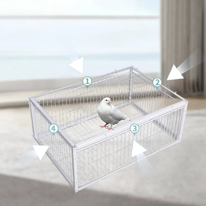 BirdSafe vangkooi met terugslagbeveiliging, humane oplossing voor vogeloverlast en dierenwelzijn.