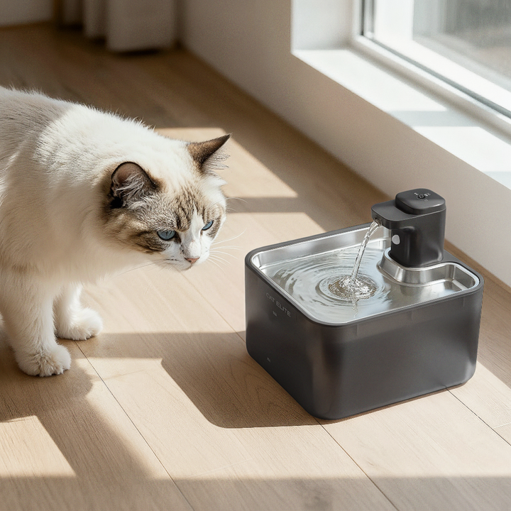 Schone waterbak door golfontwerp kattenfontein mvb26, biedt constant vers, gefilterd water voor je kat.