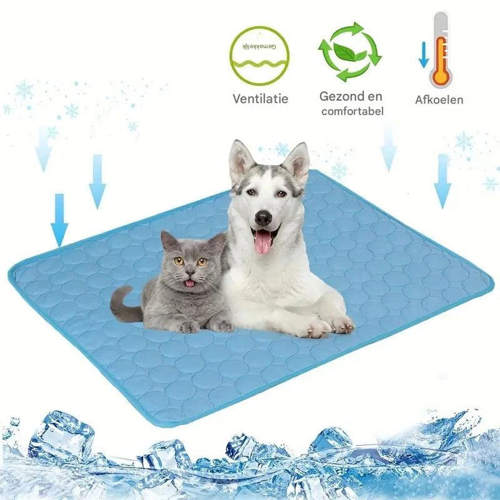 Zelfkoelende mat voor honden & katten, ideaal voor zomerse verkoeling en comfort bij warm weer.