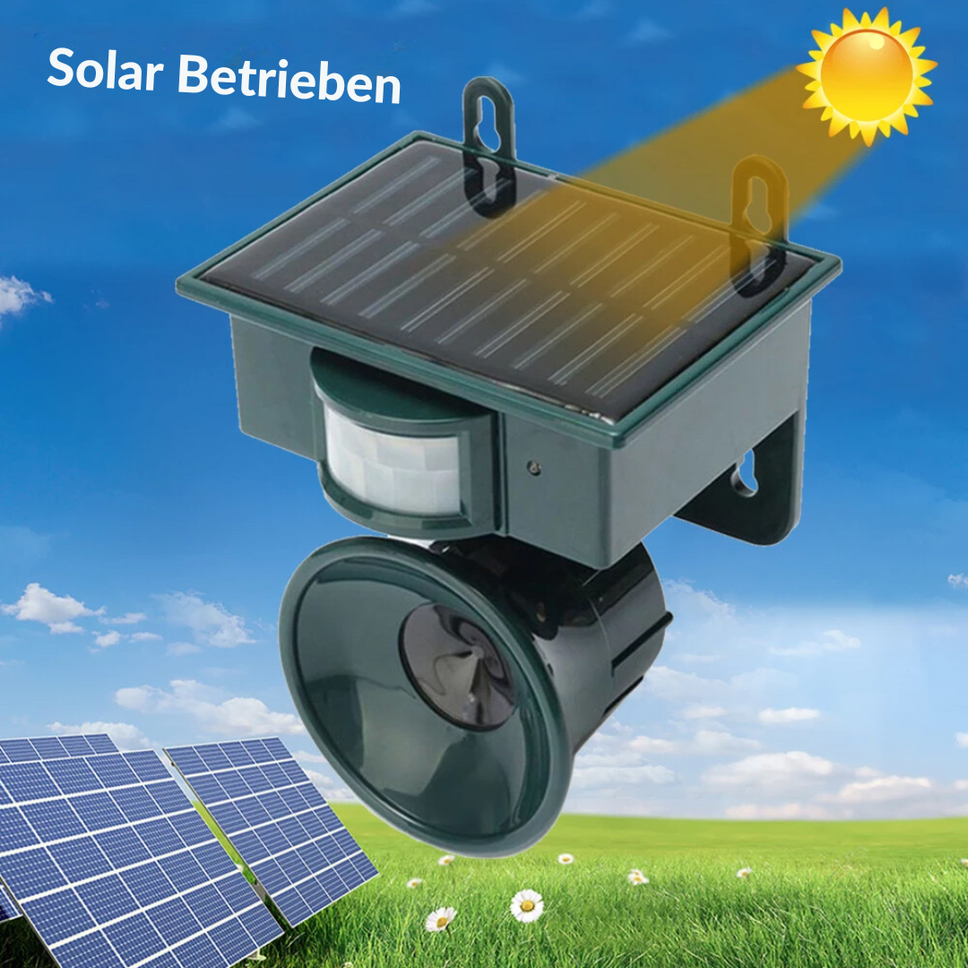 Slimme vogelwering met geïntegreerd zonnepaneel, betrouwbare bescherming voor uw terras.