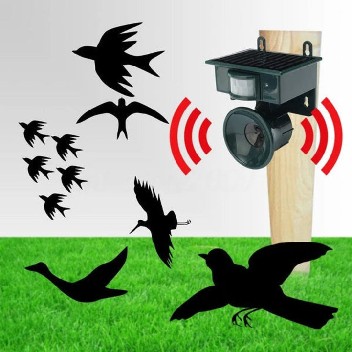 Duurzame vogelverschrikker met zonnepaneel, milieuvriendelijke oplossing voor vogelproblemen buiten.