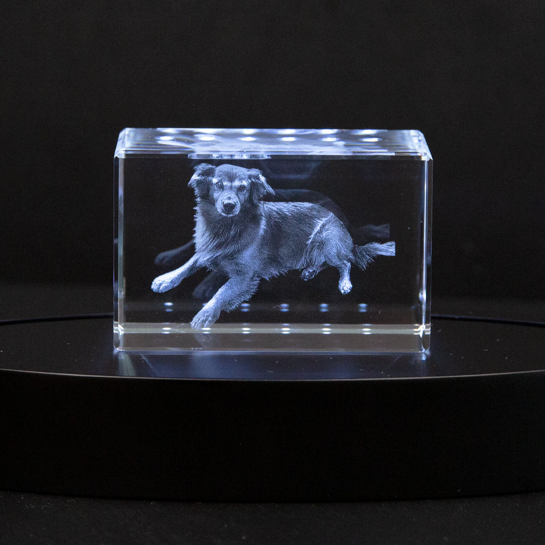 Prachtig 3D fotokristal met diepteleven, een gepersonaliseerd geschenk en waardevolle herinnering voor geliefden.
