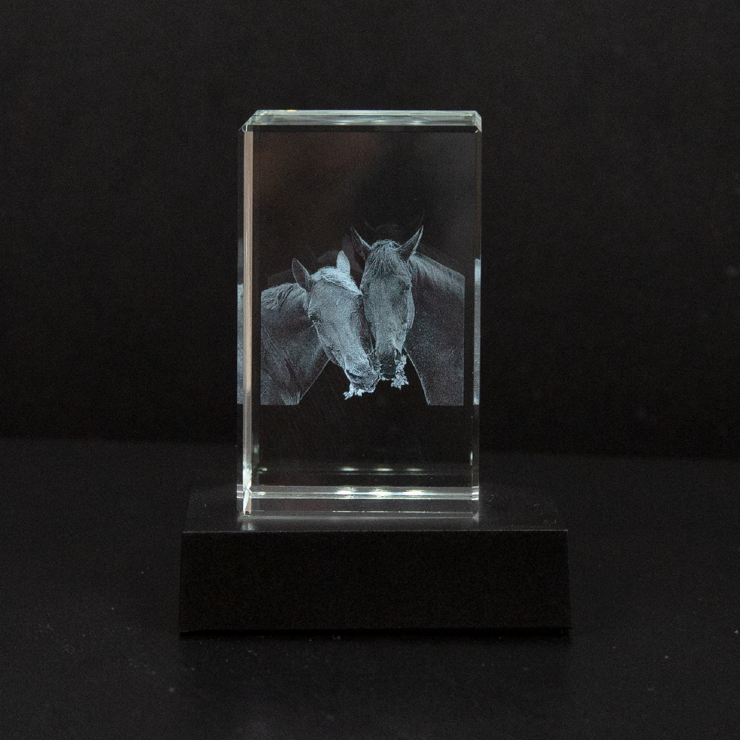 Heldere fotokristal met nauwkeurige 2D/3D gravure, een blijvende familieherinnering en uniek aandenken.