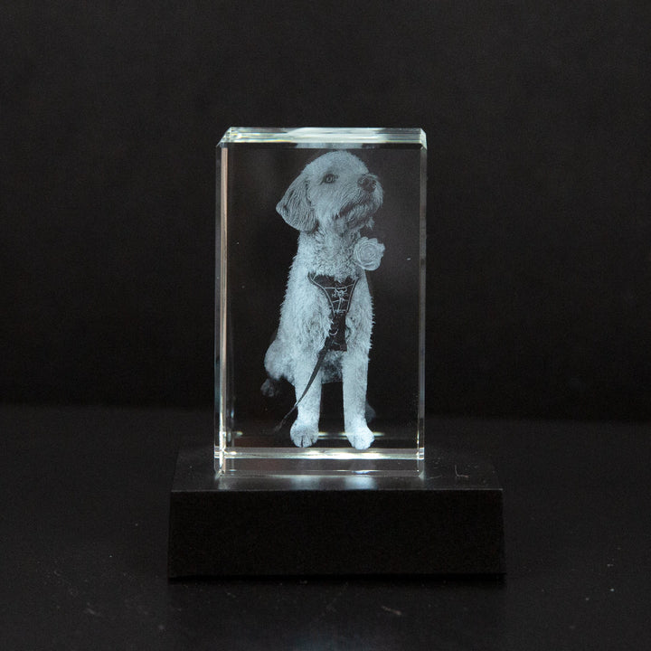 Gepersonaliseerd fotokristal, een tastbare herinnering en origineel fotocadeau voor dierbare momenten.