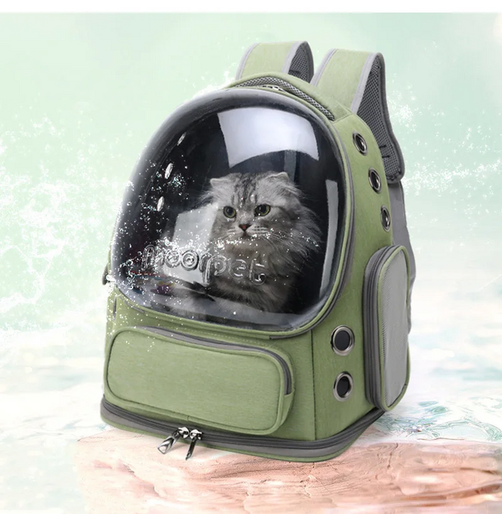 Transparante kattenrugzak met ventilatiegaten, biedt je kat een uitzicht tijdens elke tocht.