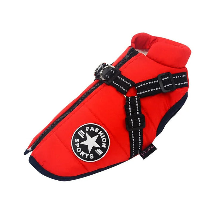 Actieve hond in waterdichte RainRover hondenjas, optimale bescherming tegen regen en wind tijdens buitenactiviteiten.