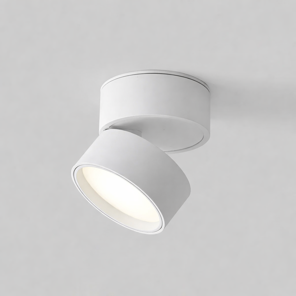 Moderne zwarte LED plafondlamp, robuust en stijlvol, ideaal voor intensief gebruik.