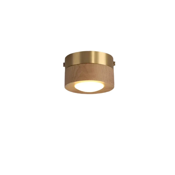 Minimalistische plafondlamp van massief hout met krachtige LED spot; geschikt voor woon- en slaapkamer.