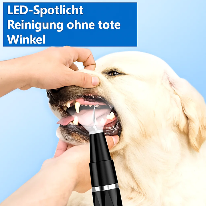 Gezonde tanden door PlaqueVrij tandsteen verwijderaar voor honden & katten mondhygiëne.