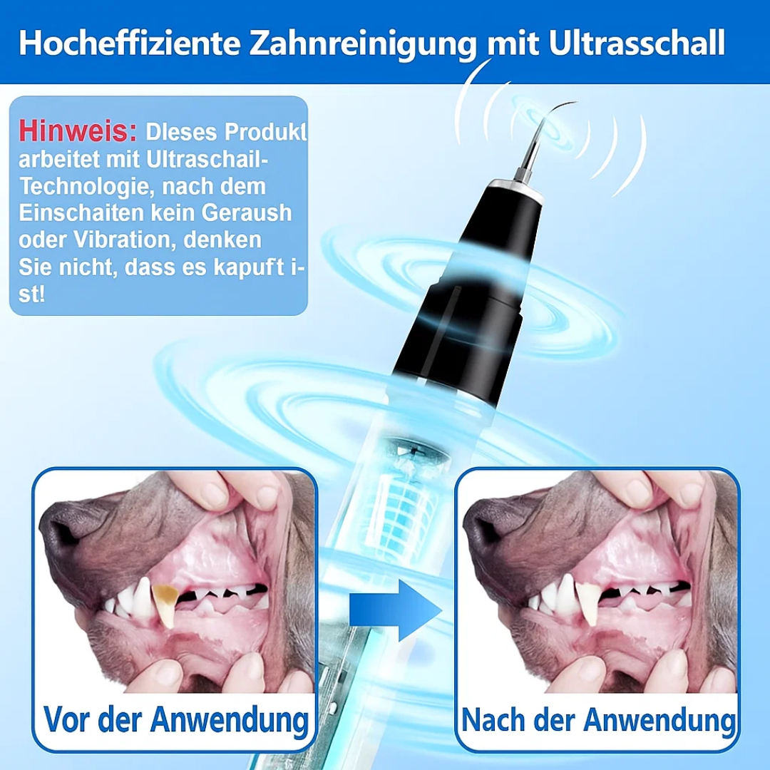 Dieren tandverzorging: PlaqueVrij tandsteen verwijderaar, een must-have voor schone tanden bij honden & katten.